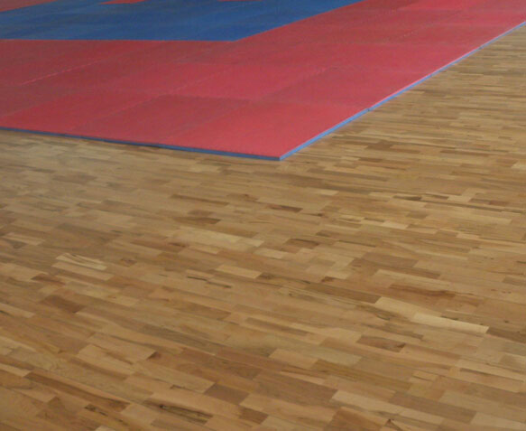 運(yùn)動(dòng)地板,運(yùn)動(dòng)木地板,實(shí)木運(yùn)動(dòng)地板 運(yùn)動(dòng)地板,運(yùn)動(dòng)木地板,實(shí)木運(yùn)動(dòng)地板