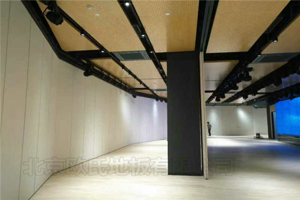 實(shí)木運(yùn)動(dòng)地板 實(shí)木運(yùn)動(dòng)地板