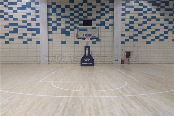 運(yùn)動(dòng)木地板 運(yùn)動(dòng)木地板