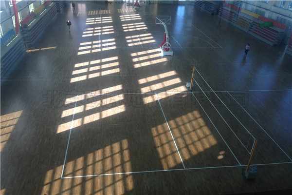 運(yùn)動(dòng)木地板 運(yùn)動(dòng)木地板